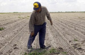 GRAVE Y DESESTIMADO PROBLEMA: LA BAJA PRODUCTIVIDAD ESTATAL LA IMPRODUCTIVIDAD SE AGRAVA PORQUE EL GEM NO CONOCE LA REALIDAD Y FUNCIONARIOS ENGAÑAN A AMM
