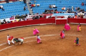 ‘Asociación Nacional de Toros de Lidia’, Si los Toros Hablaran