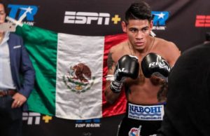 Inició el Boxeo Mexicano 2024 con 8 Monarcas Mundiales y ‘Canelo’