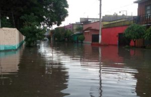 Más de 40 Fallecidos por Lluvias; Precipitación Histórica en Territorio Nacional: 31 Estados