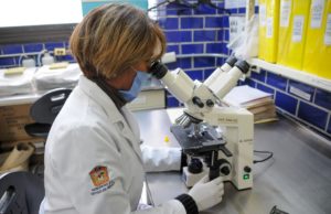 Aportará UAEMéx a la Regeneración de Tejidos Humanos, con Biofábrica