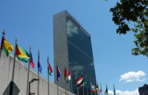 En la Estrategia Global de Dominación Ideológica, Se Impulsa el Amor Irracional a los Animales