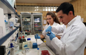 Ciencia, Tecnología e Innovación Universitaria al Servicio de la Nación