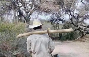 Oxfam: Desigualdad y Pobreza, Costos Ocultos de la Evasión Fiscal