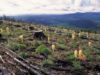 Rebasados, siete de nueve límites de daños a la naturaleza; urge salvar la Tierra
