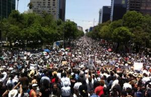 8 Mil Millones de Humanos en el Planeta: Gran Presión para Ecosistemas