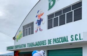 Impulso a Cooperativas, Tema Pendiente en la Agenda de la Cuarta Transformación: Expertos
