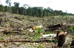 Avalan Cambios a Ordenamiento Ecológico Mexiquense; los Pidió Del Mazo a 6 Meses de Dejar el Cargo