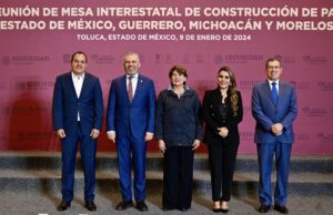Combate Conjunto de 4 Estados a Delincuentes en Tierra Caliente