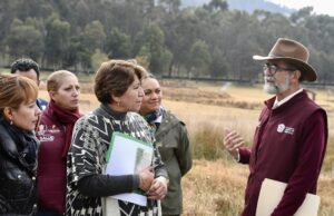 Trabaja la Gobernadora Gómez Álvarez en Solucionar los Graves Problemas del Estado