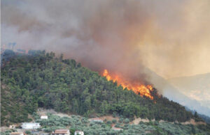 Operan Torres de Vigilancia de Incendios y se Emplea Maquinaria Pesada para Construir Brechas Cortafuego