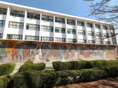 Democracia universitaria: académicos elegirán a sus dirigentes