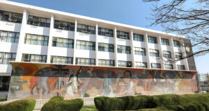 Democracia universitaria: académicos elegirán a sus dirigentes