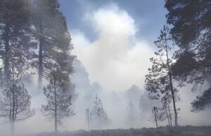 Podría Tardar 100 Años Restaurar Daños Causados por los Incendios