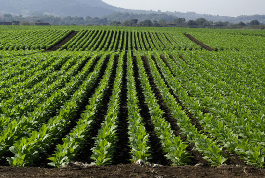 Facultad de Ciencias Agrícolas UAEMéx, ejemplo de compromiso social: MPZD
