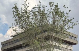Debe FGJEM Identificar a los Notarios Involucrados en el Despojo de Inmuebles