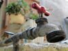 Más grave de lo conocido, contaminación del agua y los daños a la salud en Z.M. de Guadalajara