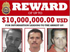 Maneja USA información atrasada sobre capos: el caso ‘el Jardinero’