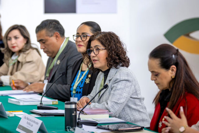 UAEM CONSEJO UNIVERSITARIO